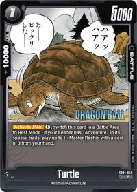 Turtle #SB01-048