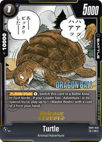 Turtle #SB01-048