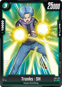 Trunks : SH #FB07-062