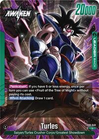 Turles - FB08-049 #FB08-049