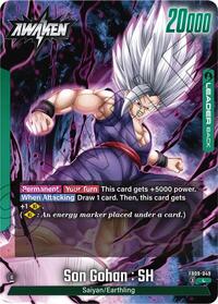Son Gohan : SH - FB09-049 #FB09-049