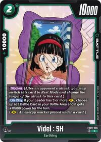 Videl : SH #FB09-065