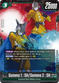 Gamma 1 : SH/Gamma 2 : SH #FB09-051