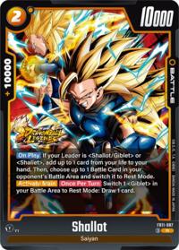Shallot - FB11-087 #FB11-087
