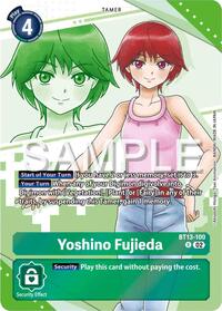 Yoshino Fujieda (Premium Heroines Set) #BT13-100 R