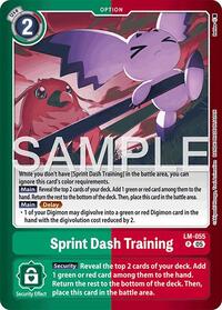 Sprint Dash Training #LM-055 P