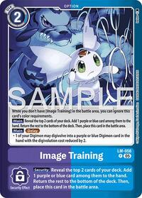 Image Training #LM-056 P