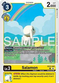Salamon #EX12-040 C