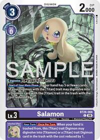 Salamon #BT26-066 C