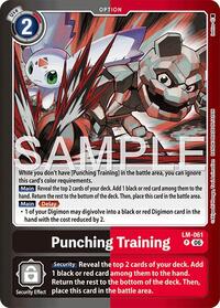 Punching Training #LM-061 P
