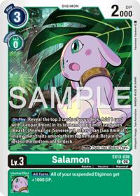 Salamon #EX13-038 C