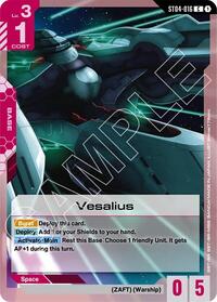 Vesalius #ST04-016