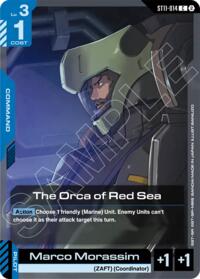 The Orca of Red Sea #ST11-014