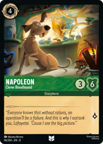 Napoleon - Clever Bloodhound #96