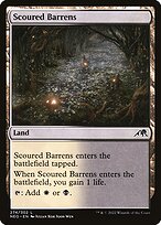 Scoured Barrens #274