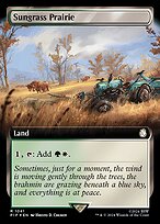 Sungrass Prairie #1041