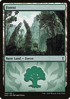 Forest #106