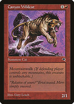Canyon Wildcat #167