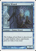 Fugitive Wizard #80