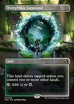 Overgrown Farmland #399