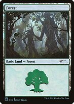 Forest #572