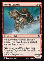 Rescue Leopard #116