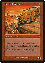 Scarred Puma #163