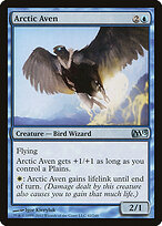 Arctic Aven #42