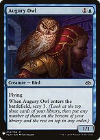 Augury Owl #PCA-14