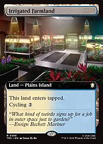 Irrigated Farmland #388