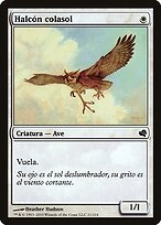 Suntail Hawk #21