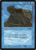 Giant Tortoise #15