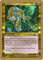 Anurid Brushhopper #bk137
