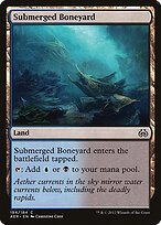 Submerged Boneyard #194