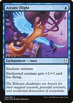 Arcane Flight #43