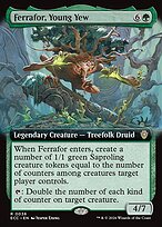 Ferrafor, Young Yew #36