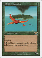 Birds of Paradise #217