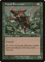 Pygmy Razorback #120