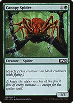 Canopy Spider #339