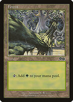 Forest #350