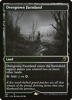 Overgrown Farmland #265
