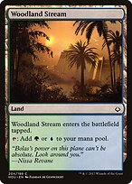 Woodland Stream #204