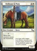 Ordinary Pony #17