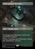 Underground Mortuary #333