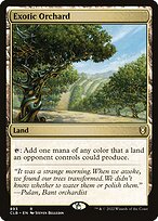Exotic Orchard #893