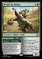 Brightcap Badger // Fungus Frolic #28