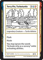 Terry Pin, Turboturtle #603