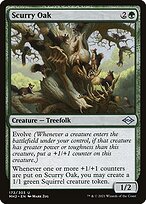 Scurry Oak #172