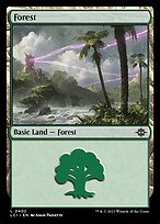 Forest #402