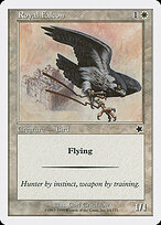 Royal Falcon #24